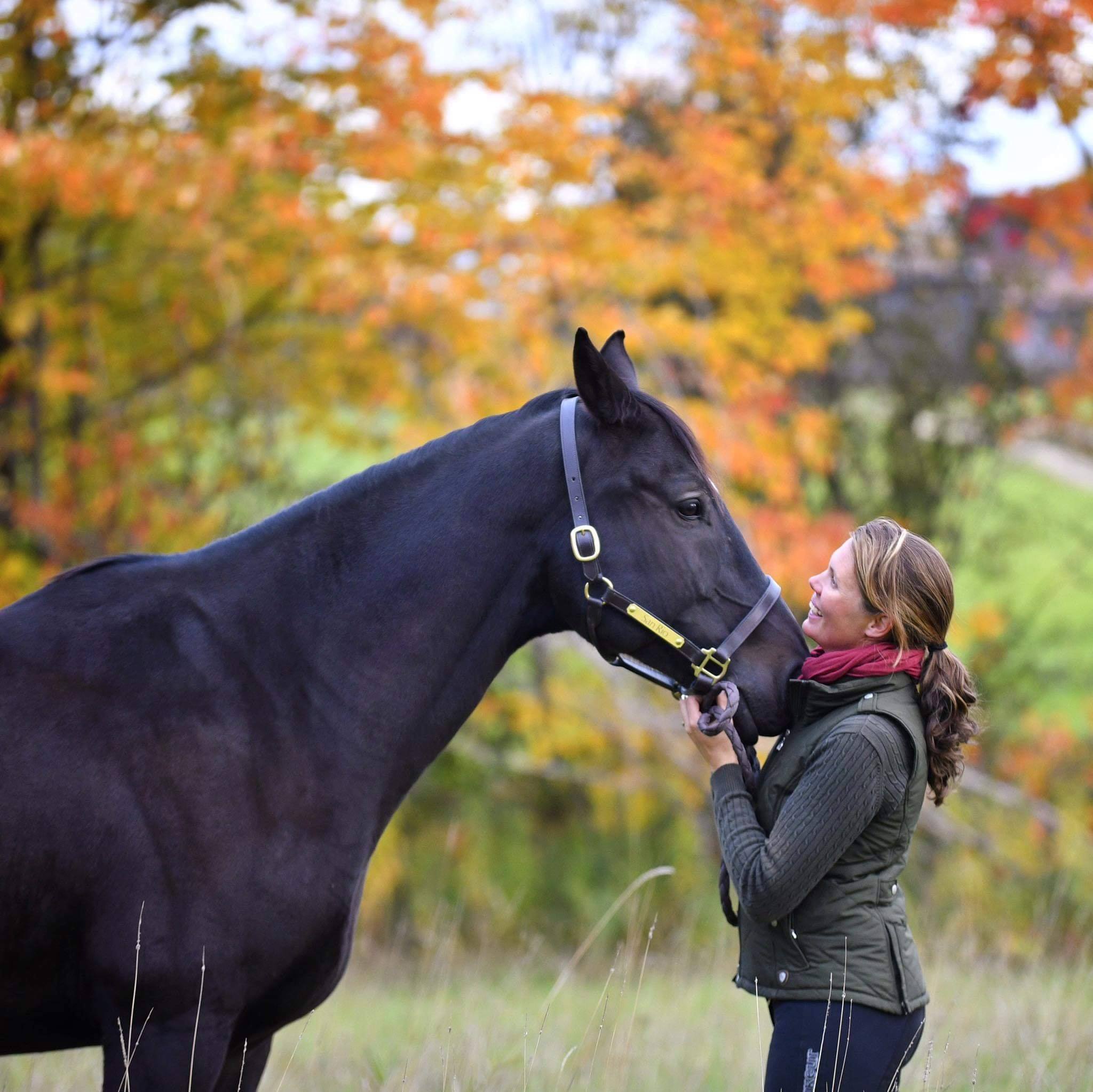 Univers Cheval